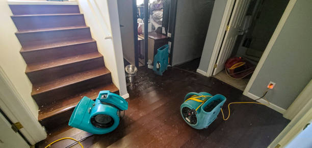 Best Mold removal after water damage  in Blue Bell, PA