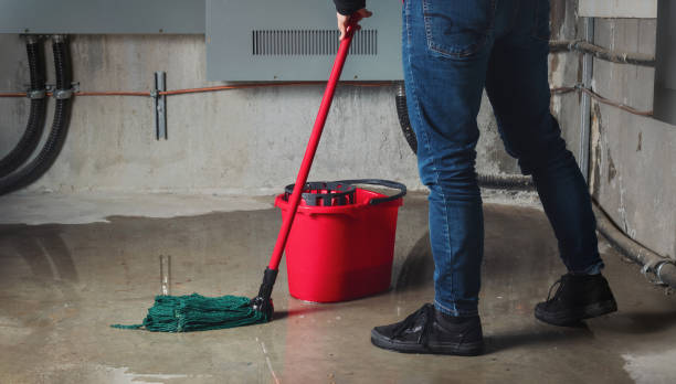 Best Local water damage restoration  in Blue Bell, PA