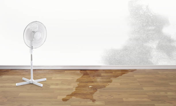 Best Fire Damage Restoration  in Blue Bell, PA