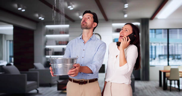 Best Professional water damage repair  in Blue Bell, PA